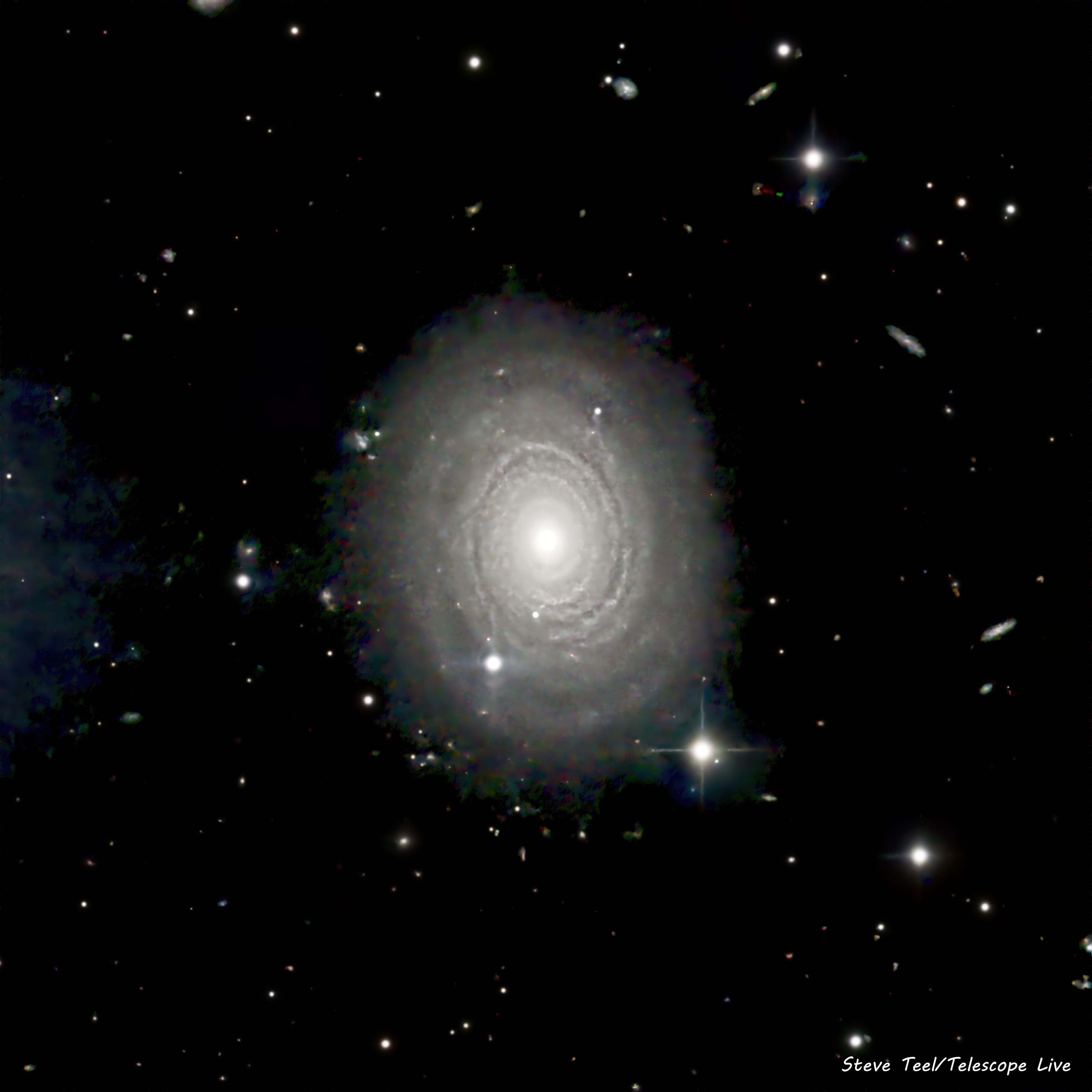 NGC鑑定品 アンティークコインNGC鑑定済み